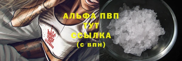 apvp Аркадак