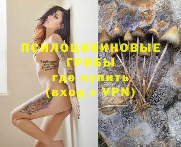 apvp Аркадак