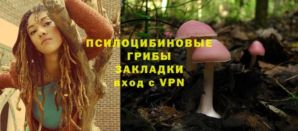 apvp Аркадак