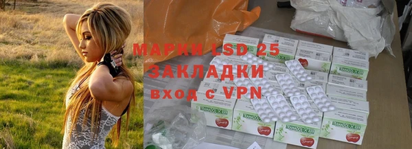 apvp Аркадак